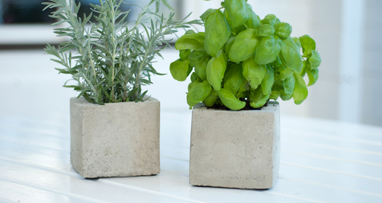 DIY Pflanzen-Cubes aus Beton