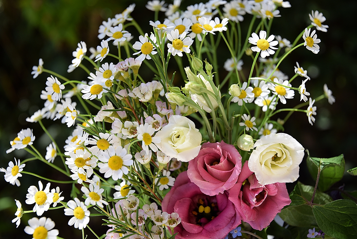 Edles-Porzellan-als-romantischer-Begleiter-für-Blumen 12k