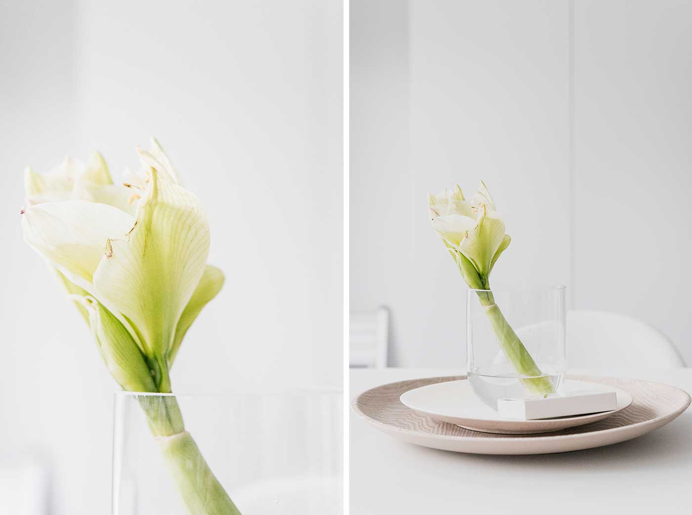 Tipps: Welche Blumen passen in welche Vase?