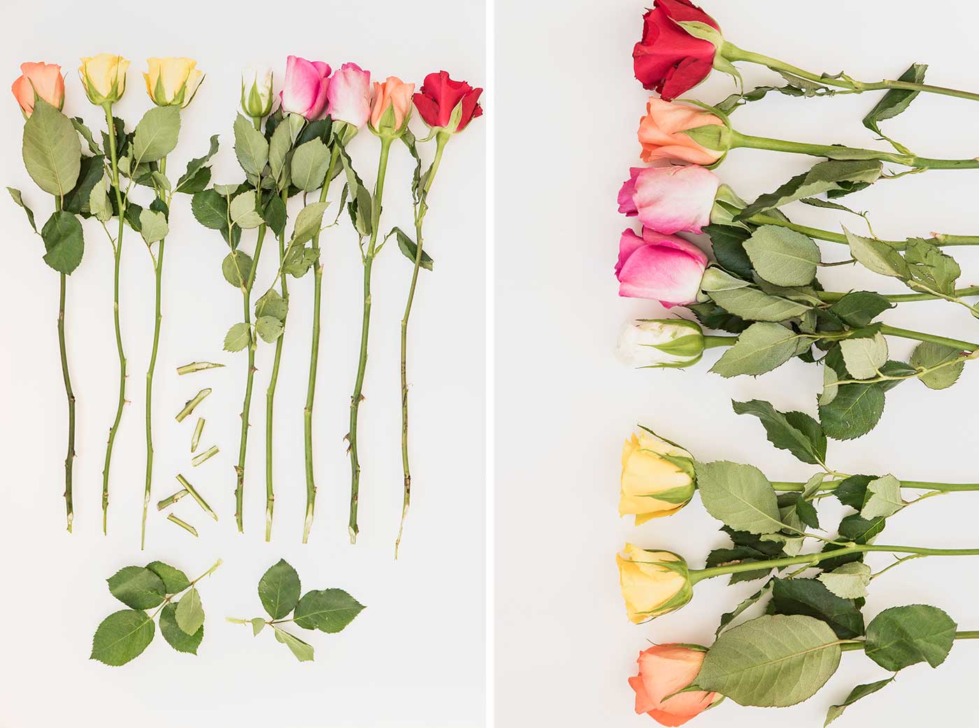 So kann man Schnittblumen frisch halten, 10 Tipps zur Blumenpflege.