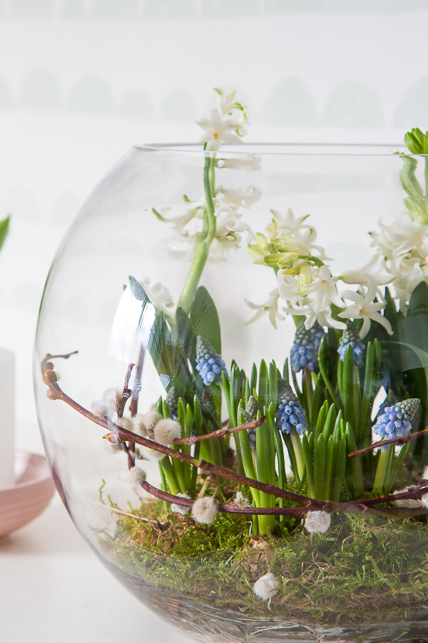 Frühlingserwachen - mit Blumenzwiebeln dekorieren